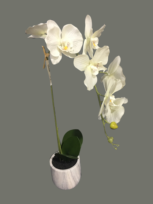 silk orchid in pot52.1cm tall
