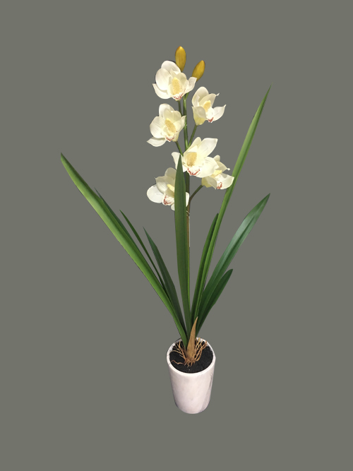 orchid flowers in pot 76.2cm tall