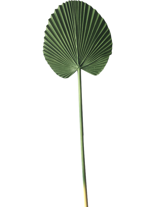 real touch green leaf 80cm tall