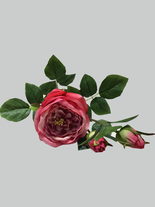 artificial english cabbage rose flower stem