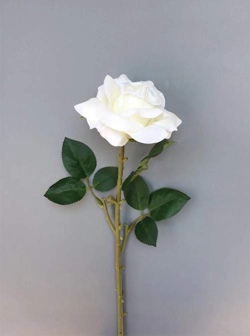 floral rose stem