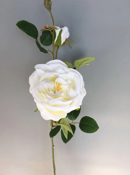 wedding rose branch