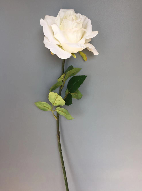 wedding rose flower